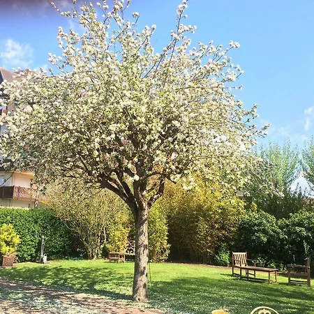 Gypsy Ξενοδοχείο 3*